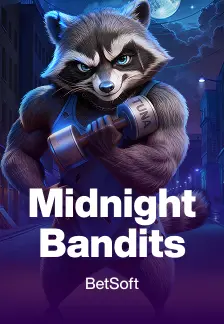 Midnight Bandits